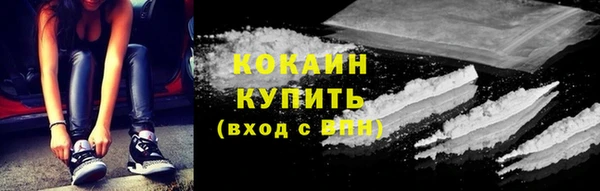 соль ск Алексин
