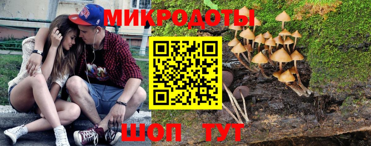 Галлюциногенные грибы мицелий Бахчисарай