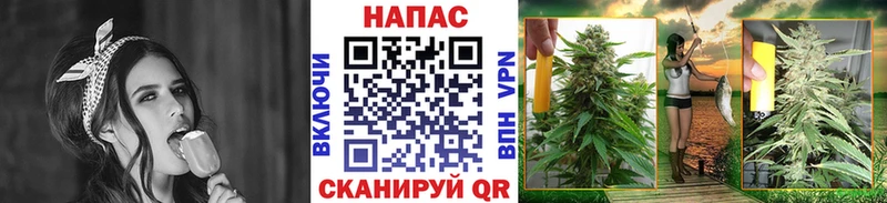 дарк нет состав  Бахчисарай  Каннабис индика 
